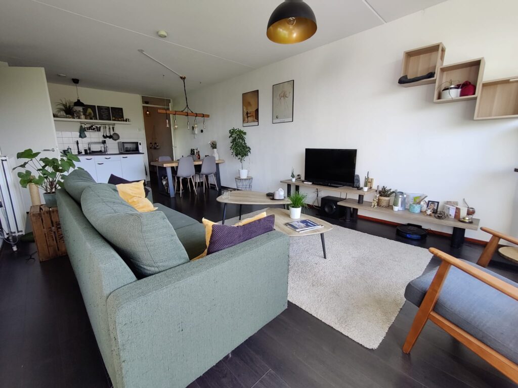 WhatsApp Image 2025 03 10 at 11.33.02