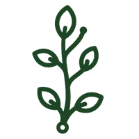 Djs - Logo Icon Donkergroen